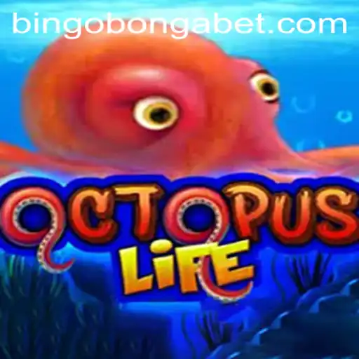 Experience an Underwater Adventure with OctopusLife